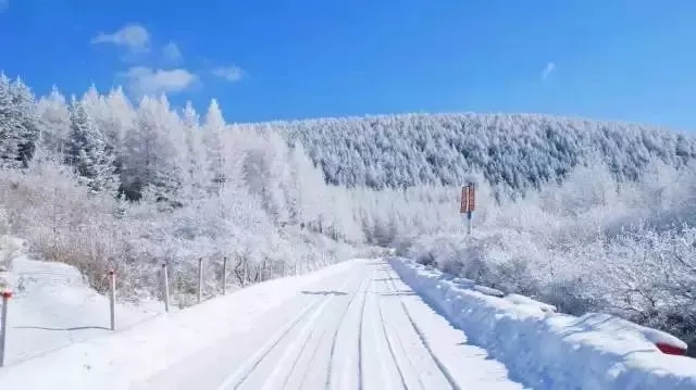 雪鄉今年還坑人嗎，北京去雪鄉旅游現在還能去嗎