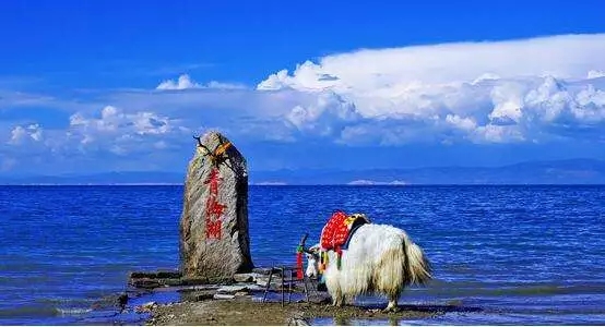 國(guó)慶節(jié)西北環(huán)線(xiàn)七日游,十一假期青甘環(huán)線(xiàn)自由行